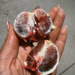 Blood Oranges